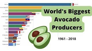 The World's Biggest Avocado Producers