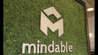 Mindable Customer Story