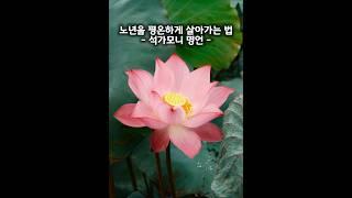 노년은 지혜로 빛납니다 | 석가모니 말씀