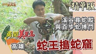 【勇闖美麗島】台灣蛇王直搗龍穴 與百步蛇搏鬥為民除害（林園鳳凰山找蛇窟／台灣六大毒蛇）│2001.12.26│ 77集精華版