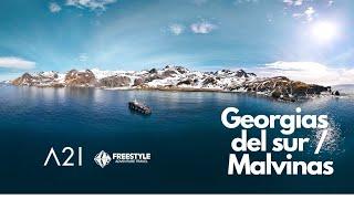 Georgias del sur e Islas Malvinas: Antarctica 21 - Freestyle Adventure