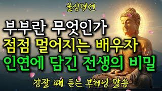부부란 무엇인가, 점점 멀어지는 배우자와 전생의 인연에 담긴 비밀이야기 #부처님말씀 #불교가르침 #명상 #깨달음 #마음공부 #삶의지혜 #인생명언 #좋은글#부처님가르침