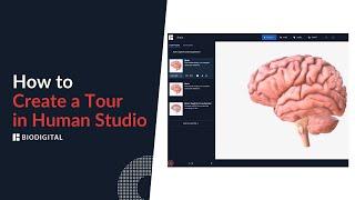 How to Create a Tour in Human Studio