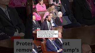 Protesting Democrat removed during Trump’s speech to Congress