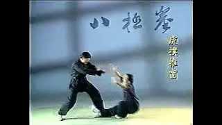 武壇 八極拳 金立言 Bajiquan JIN,LI-YAN