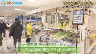 丸かじりセロリ推し大丸でみやま市マルシェ