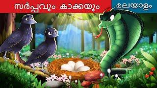 സർപ്പവും കാക്കയും | The Crows And The Serpent in Malayalam | @MalayalamFairyTales