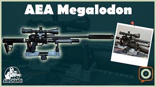 AEA Megalodon My Test and Review