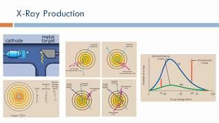 X-Ray Imaging:  X-Ray Production Physics (Arabic Narration)