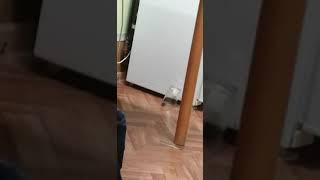 Мышь не ловится
