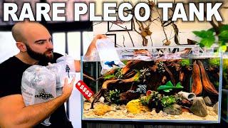 Crazy Expensive Rare Pleco Tank (Aquarium Build)