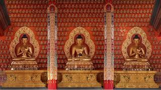 Inauguration and Opening Ceremony of the Pal Thubten Shedrub Ling Monastery in Lumbini- 2024! Day 4