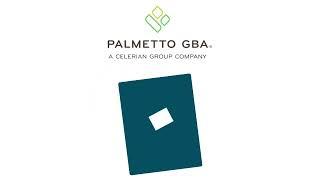 Palmetto GBA Skilled Nursing Facilities