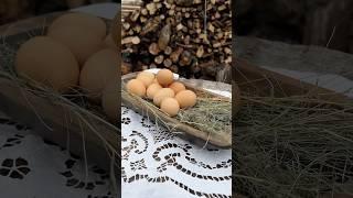 Как ощущается лето? Как в детстве, как в деревне у бабушки