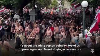 Maoris fight to withdraw bill that proposes changes to Treaty of Waitangi