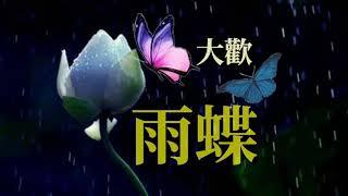   雨蝶    演唱：大歡