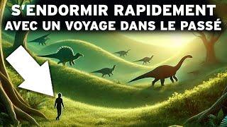 4 heures de Faits Préhistoriques pour S'endormir Rapidement : Un INCROYABLE voyage dans le Passé !