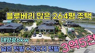 서산시 264평 블루베리 잘자라는 도로인접 전원주택 태양광6kw 설치완료 과수나무가 많고 전원주택 텃밭 외 국유지 텃밭까지 텃밭넓은 현황있는 서산전원주택 서산전원주택매매