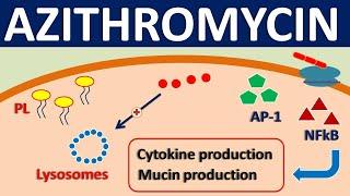 Azithromycin - Mechanism, side effects, precautions & uses