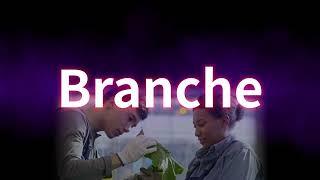 Branche. Richtige Sprechweise, Bedeutung. Korrekte Aussprache. Gutes Deutsch. Von TV-Profisprecher.