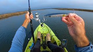 Topwater Fun In The Marsh - Jacksonville FL Saltwater Fishing