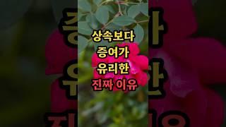 상속보다 증여가 유리한 진짜 이유｜60대 이상 꼭 알아야 할 절세 전략