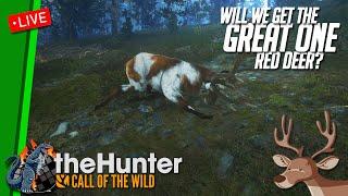 We're Still Grinding! Looking for the Red Deer Great One in the Hunter: Call of the Wild