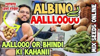 Albino Aaloo hai | Aaloo or Bhindi ki kahani | Potato Lovestory | Seed Mix Online | Albino is Potato