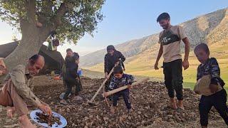 A Meeting in the Mountains: Afshin & Shokoufeh with the Elham Family"