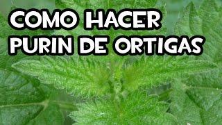 Cómo Hacer el Purin de Ortigas | Paso a Paso