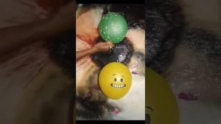 Popping water Balloons Reverse video #shorts #viralshort #video #trending #waterballoon #asmr #sr