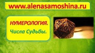 Психология и магия. Нумерология. Число судьбы по дате рождения 1 занятие. Алена Самошина.