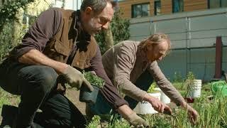 toom Selbermacher: Rainer und sein urbaner Garten | toom Baumarkt