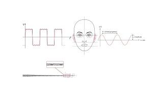 Digitale Signalverarbeitung: Hörgerät vs. Cochlea-Implantat (CI)