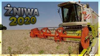 Żniwa 2020 | Claas Lexion 430 | Steyr Profi 6145 classic | Pszenica Ozima