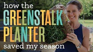 Bush Bean Planting and Harvest in my Greenstalk Vertical Planter