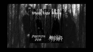 Morning Mist/Antichües (CZ) - Where Light Sleeps (2023, split)