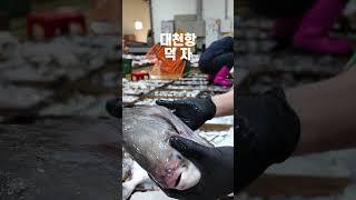 여름 생선 덕자, 병어보다 더 맛있어!