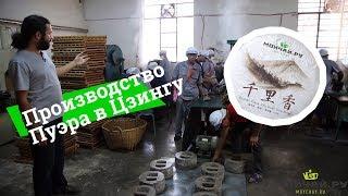 Производство пуэра Moychay.ru , Цзингу, Юньнань. Puer Tea production by Moychay.com . Jinggu,Yunnan.