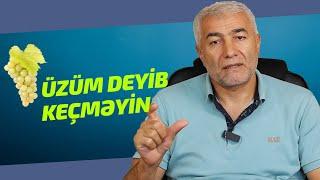 Üzüm deyib keçməyin. Faydalarını saymaqla bitmir   | Fizuli Hüseynov