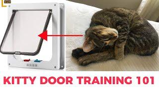 How to Train Your Cat to Use a Cat Door or Cat Flap | Magnetic Cat Flap Training