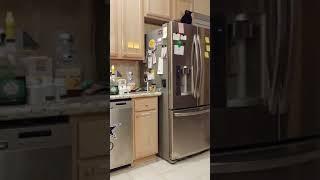 Sweetie's Workout (in the kitchen)