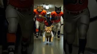 Under Pressure: A Kitten’s Struggle to Survive and Be Understood – Heartbreaking Story #cat #meow