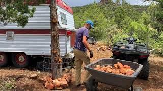 USING MATERIALS FROM MY LAND TO BUILD MY DREAM PROPERTY - OFF-GRID LIVING IN NORTHERN AZ