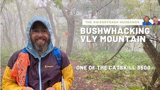 Hiking Vly Mountain  - Catskill 3500 Trailless Peak - Bushwhacking from County Route 3