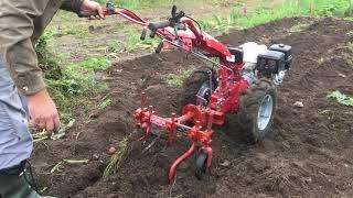 Cultivating Garden with Two Wheel Tractor