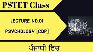 PSTET1/2/Psychology/2024/Sukhija tuition
