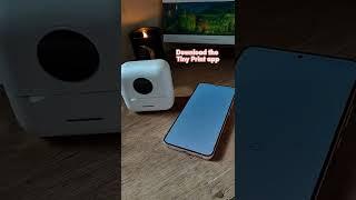 Portable Mini Printer setup #shorts