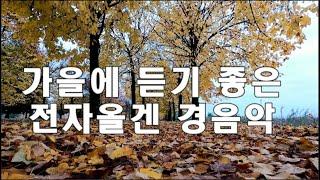 [2시간] 가을에 듣기 좋은 트롯 전자올겐 경음악  #경음악 #전자올겐 #캬바레