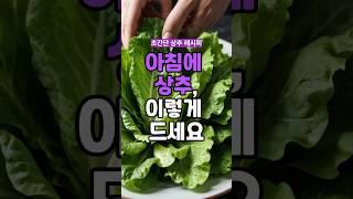 아침에 상추 이렇게 드세요 #상추요리 #건강주스 #계란요리 #단백질보충